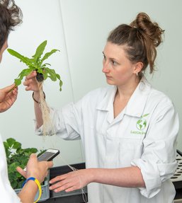 Two people in labcoats looking at a plant