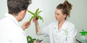 Two people in labcoats looking at a plant