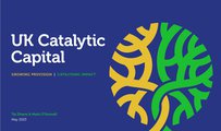 UK Catalytic Capital report, authored by Tej Dhami an Mark O'Donnell