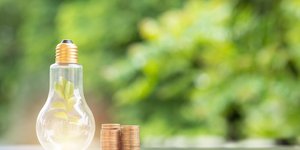 Lightbulb with a stack of coins next to it, with plants in the background