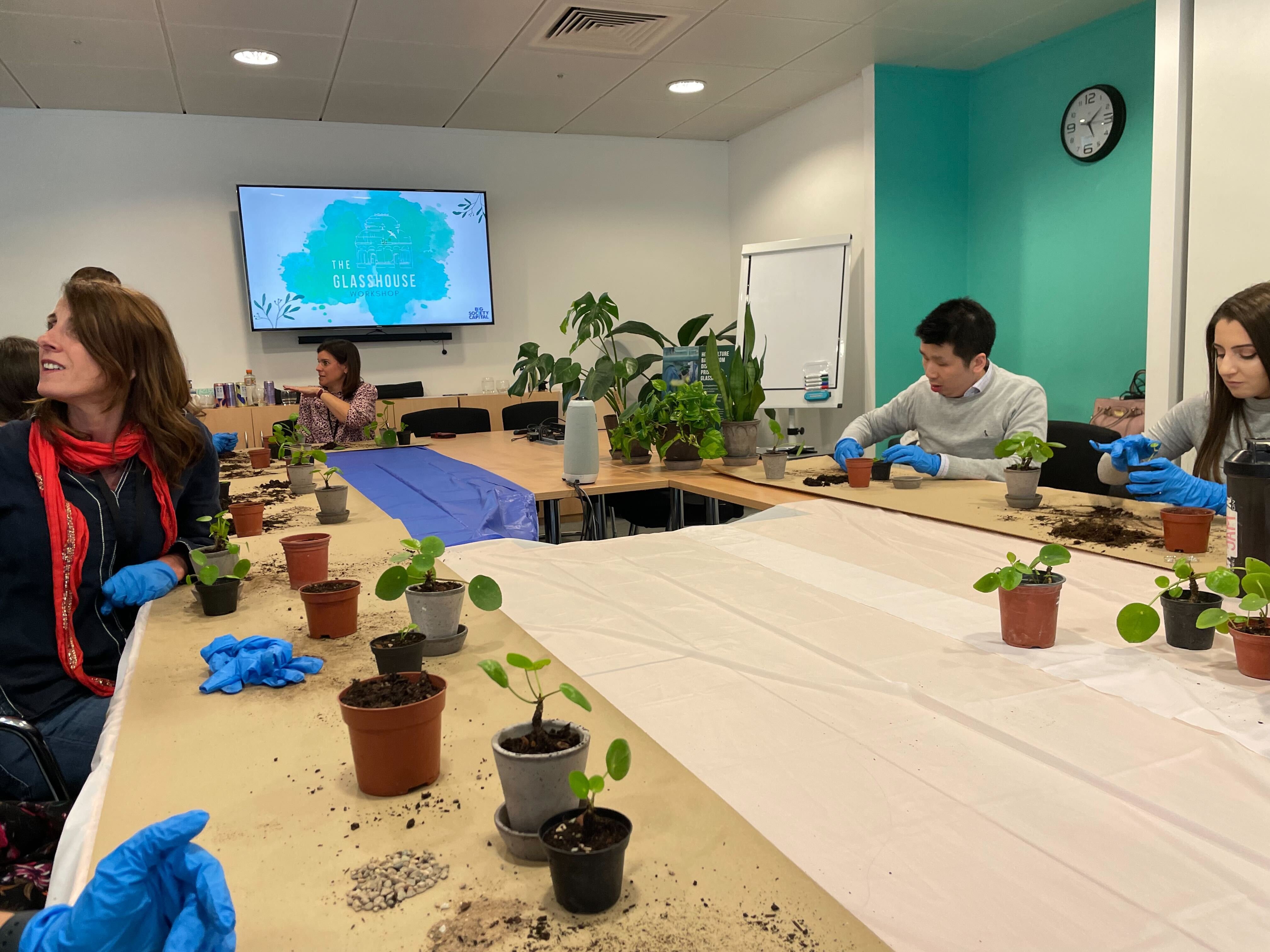 Members of BSC staff attending a workshop on plant-potting