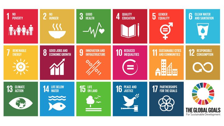 SDG icons
