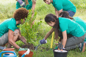 Social lending blog image.png