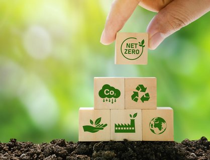 Wooden blocks on some soil with environment symbols on them