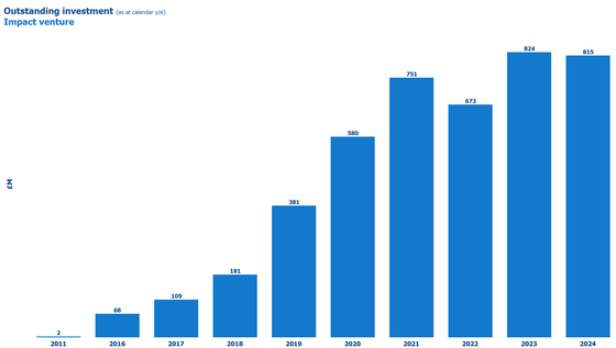 Impact venture 2024 market sizing