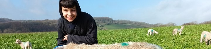 Young boy feeding a sheep